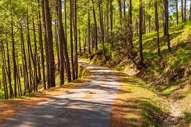 Cycling in Kumaon Himalayas: The Tiger & Mountain Trail 10 Days